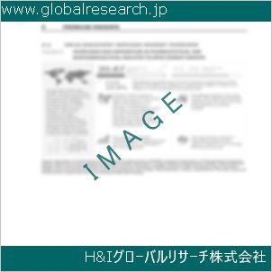 グローバルリサーチ調査資料のイメージ